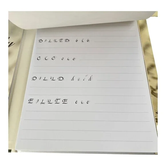 SpiceBox Masterclass Calligraphy Writing Set Instruction Guide Pens Ink NIB - Picture 8 of 11